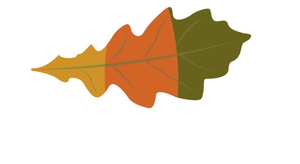 Glenorchy and Innishail Community Council Meeting 13th November 2024