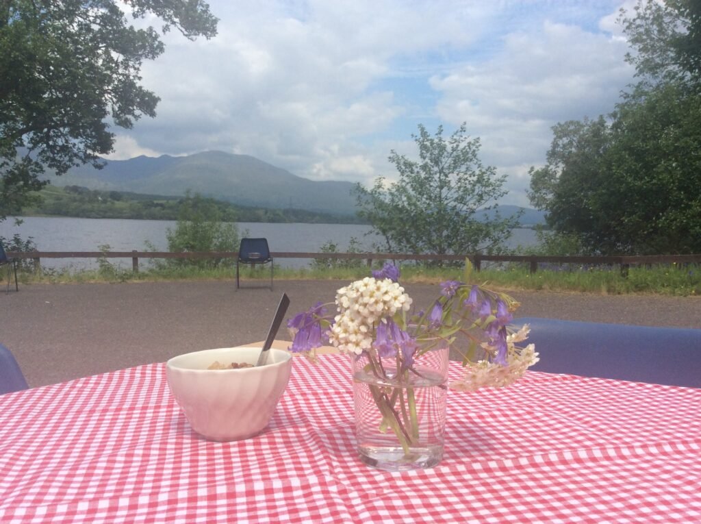 40778337_539872853125919_3373619570316148736_n