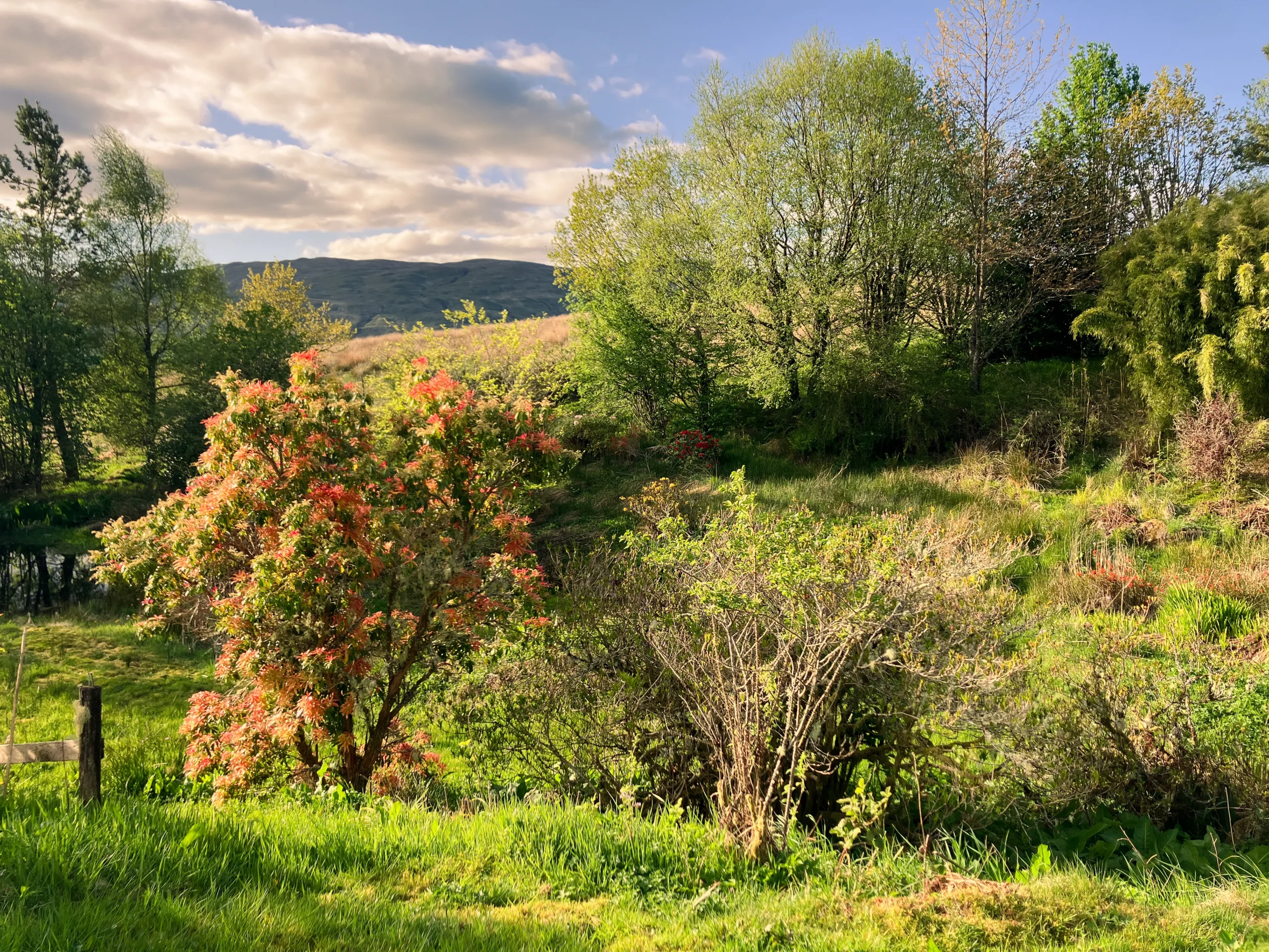 G&I Community Council AGM in May