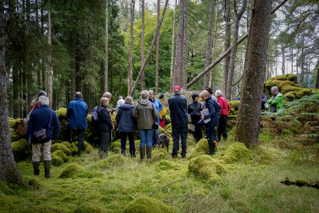 Visit to Local Sites