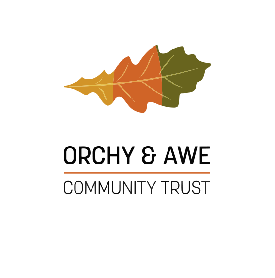 Website Workshops